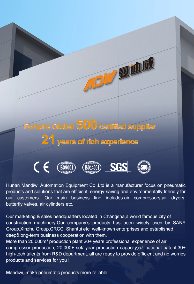 High Pressure 30Bar Piston Air Compressor Belt Driven 0.6-1.5m³/min Industrial Air Compressor